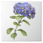 Blue Hydrangea Blume Botanische Kunst Fliese (Vorderseite)