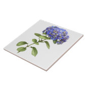 Blue Hydrangea Blume Botanische Kunst Fliese (Seite)