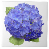 Blue Hydrangea Blume Botanische Kunst Fliese (Vorderseite)