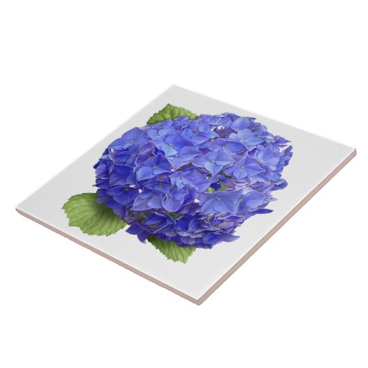 Blue Hydrangea Blume Botanische Kunst Fliese (Seite)