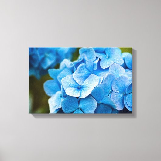 Blue Hydrangea Blume Canvas print Leinwanddruck (Vorderseite)