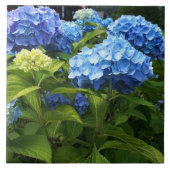 Blue Hydrangea Blume Decorative Keramik Tile Fliese (Vorderseite)
