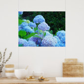 Blue Hydrangea Blume druckt Poster (Küche)