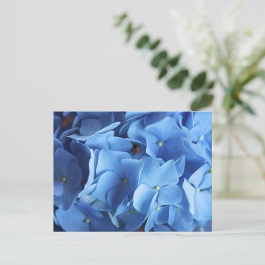 Blue Hydrangea Blume Fotografie Postkarte (Stehend Vorderseite)