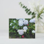 Blue Hydrangea Blume im Summer Garden Postkarte (Stehend Vorderseite)