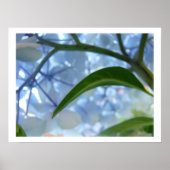 Blue Hydrangea Blume Kunstdrucke Blume Poster (Vorne)
