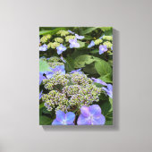 Blue Hydrangea-Blume Leinwanddruck (Vorderseite)