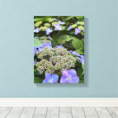 Blue Hydrangea-Blume Leinwanddruck (Insitu (Holzboden))
