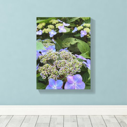 Blue Hydrangea-Blume Leinwanddruck (Insitu (Holzboden))