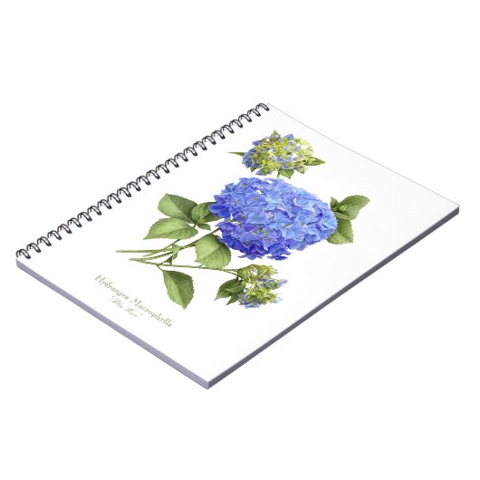 Blue Hydrangea-Blume Notizblock (Linke Seite)