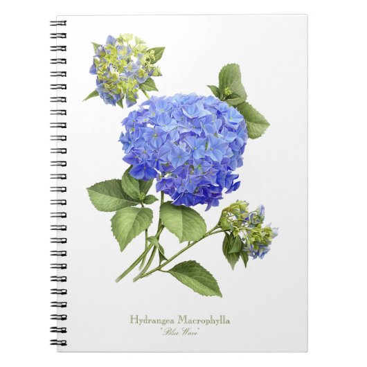 Blue Hydrangea-Blume Notizblock (Vorderseite)