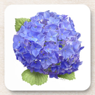 Blue Hydrangea-Blume Untersetzer