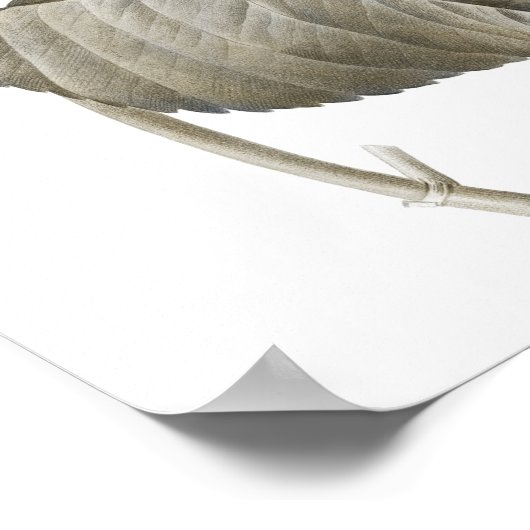 Blue Hydrangea Botanical Artwork Nr. 2 Poster (Ecke)