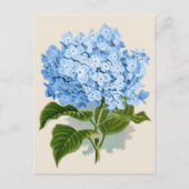 Blue Hydrangea Botanical Print Postkarte (Vorderseite)