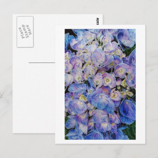 Blue Hydrangea Botanische Kunst Postkarte (Vorne/Hinten)