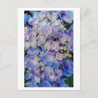 Blue Hydrangea Botanische Kunst Postkarte