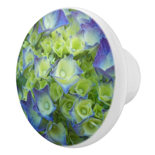 Blue Hydrangea Buds Floral Keramikknauf (Rechts)