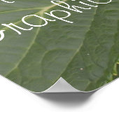 Blue Hydrangea Business POSTER Banner (Ecke)