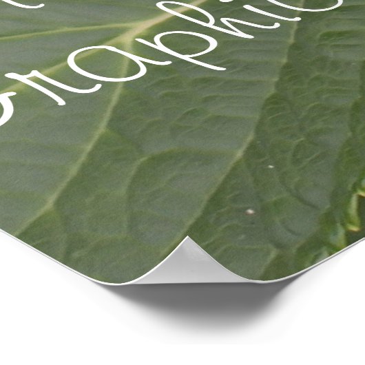 Blue Hydrangea Business POSTER Banner (Ecke)