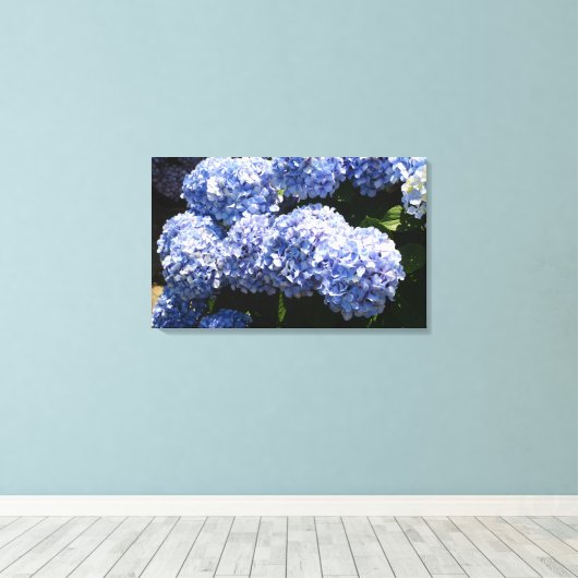 Blue Hydrangea Canvas Print Leinwanddruck (Insitu (Holzboden))