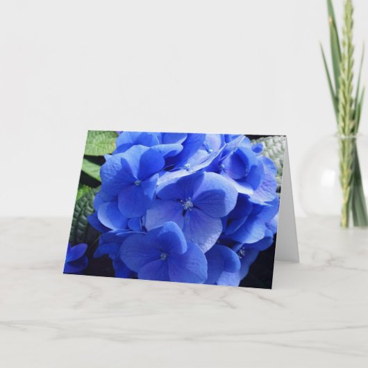 Blue Hydrangea Card Karte (Vorderseite)