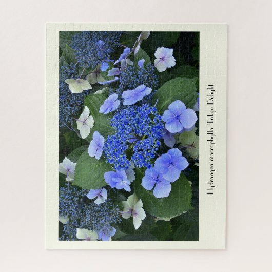 Blue Hydrangea Collvable Blume Puzzle (Vertikal)