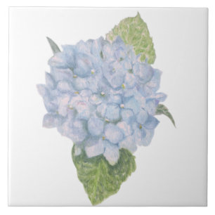 Blue Hydrangea Fliese