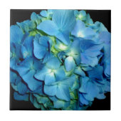 Blue Hydrangea Fliese (Vorderseite)