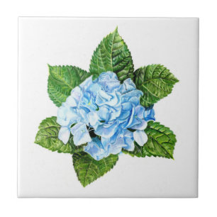 Blue Hydrangea Fliese