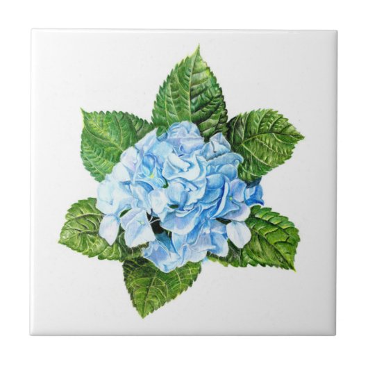 Blue Hydrangea Fliese (Vorderseite)
