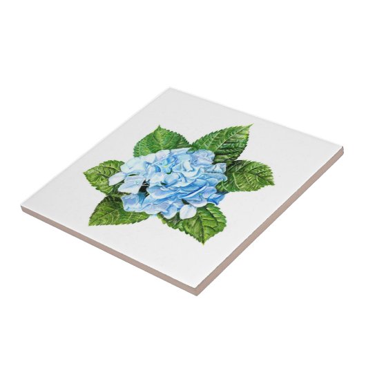 Blue Hydrangea Fliese (Seite)