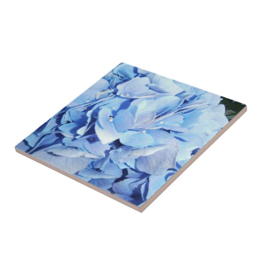 Blue Hydrangea Fliese (Seite)
