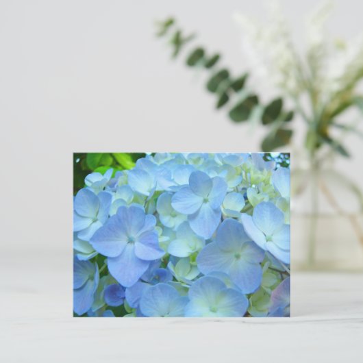 Blue Hydrangea Flowrs Postkarten Floral Postkarten (Stehend Vorderseite)
