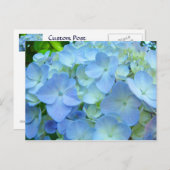 Blue Hydrangea Flowrs Postkarten Floral Postkarten (Vorne/Hinten)