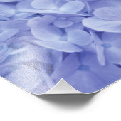 Blue Hydrangea Fotodruck (Ecke)