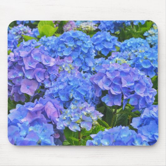 Blue Hydrangea Garden Blume Blumenmousepad Mousepad (Vorne)