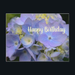 Blue Hydrangea Geburtstagsschrift Leere Postkarte<br><div class="desc">Hydrangea Geburtstag Gruß Postkarte mit Schrift auf der Rückseite. Geboren zum Geburtstag eines Freundes mit der Schrift aus den Sprichwörtern 17:17, die zum Teil lautet: "Eine Freundin Lieben immer". Die hübsche Blume auf der Vorderseite ist eine Lavendelblauer Hydrangea-Blume. "Happy Birthday" auf der Vorderseite kann geändert werden, und die Schrift kann...</div>