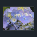 Blue Hydrangea Geburtstagsschrift Leere Postkarte<br><div class="desc">Hydrangea Geburtstag Gruß Postkarte mit Schrift auf der Rückseite. Geboren zum Geburtstag eines Freundes mit der Schrift aus den Sprichwörtern 17:17, die zum Teil lautet: "Eine Freundin Lieben immer". Die hübsche Blume auf der Vorderseite ist eine Lavendelblauer Hydrangea-Blume. "Happy Birthday" auf der Vorderseite kann geändert werden, und die Schrift kann...</div>