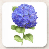 Blue Hydrangea Getränkeuntersetzer (Vorderseite)