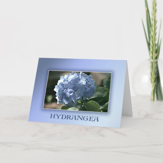 Blue Hydrangea Karte (Vorderseite)