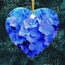 Blue Hydrangea