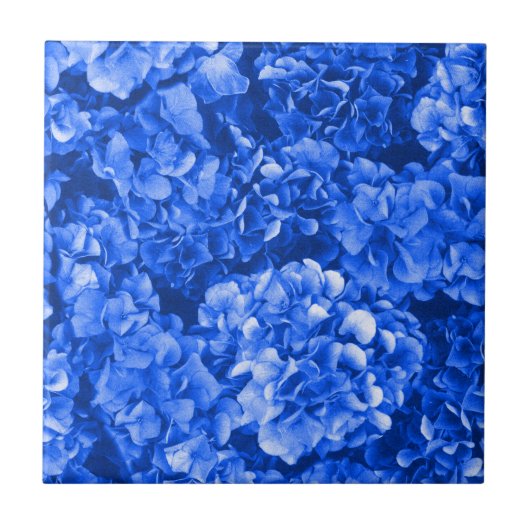 Blue Hydrangea Keramik Tile Fliese (Vorderseite)