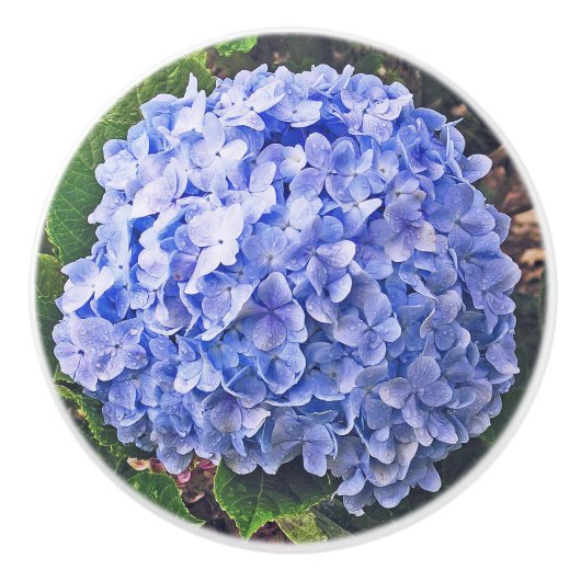 Blue Hydrangea Keramikknauf (Vorderseite)