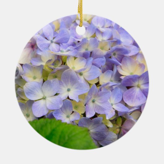 Blue Hydrangea Keramikornament (Hinten)
