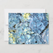 Blue Hydrangea Neue Ankündigung (Rückseite)