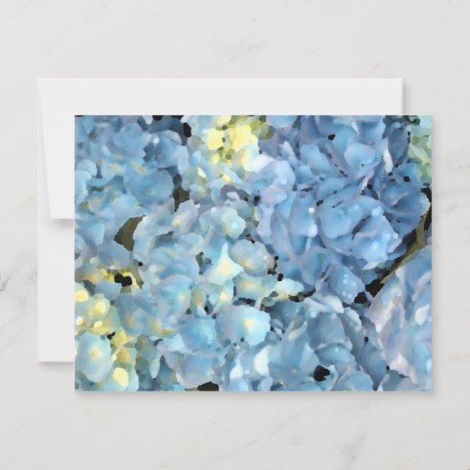 Blue Hydrangea Neue Ankündigung (Rückseite)