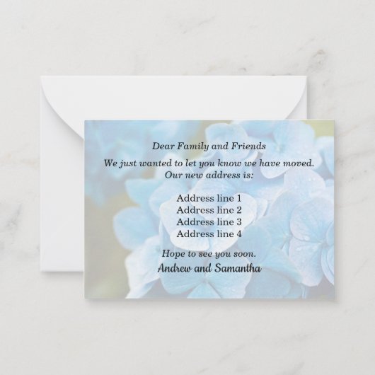 Blue Hydrangea Neue Ankündigung (Rückseite)