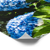 Blue Hydrangea on Gradient ocean Jigsaw Puzzle Poster (Ecke)