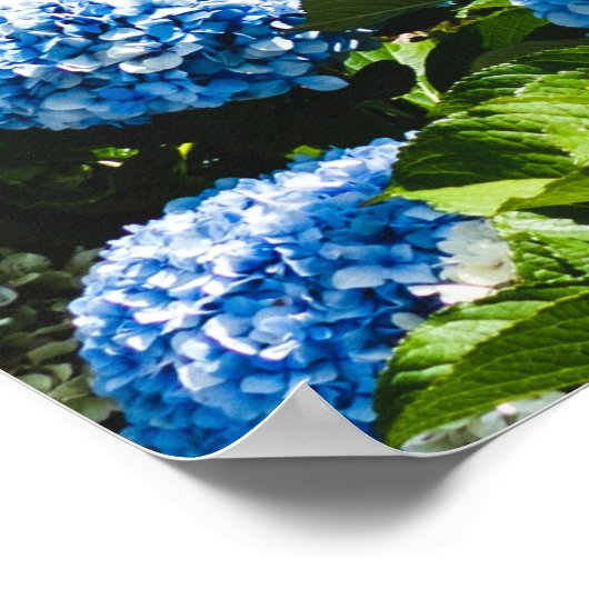 Blue Hydrangea on Gradient ocean Jigsaw Puzzle Poster (Ecke)