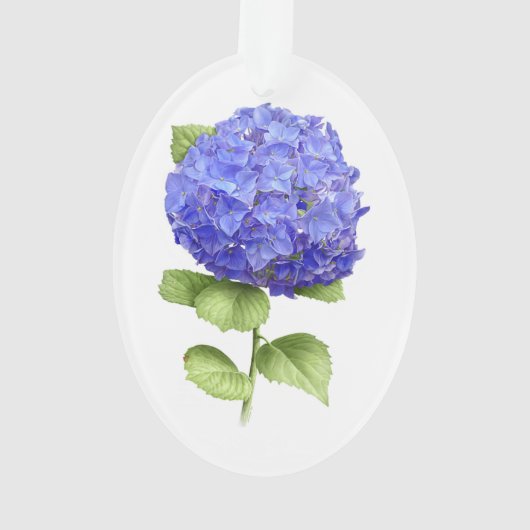 Blue Hydrangea Ornament (Rückseite)